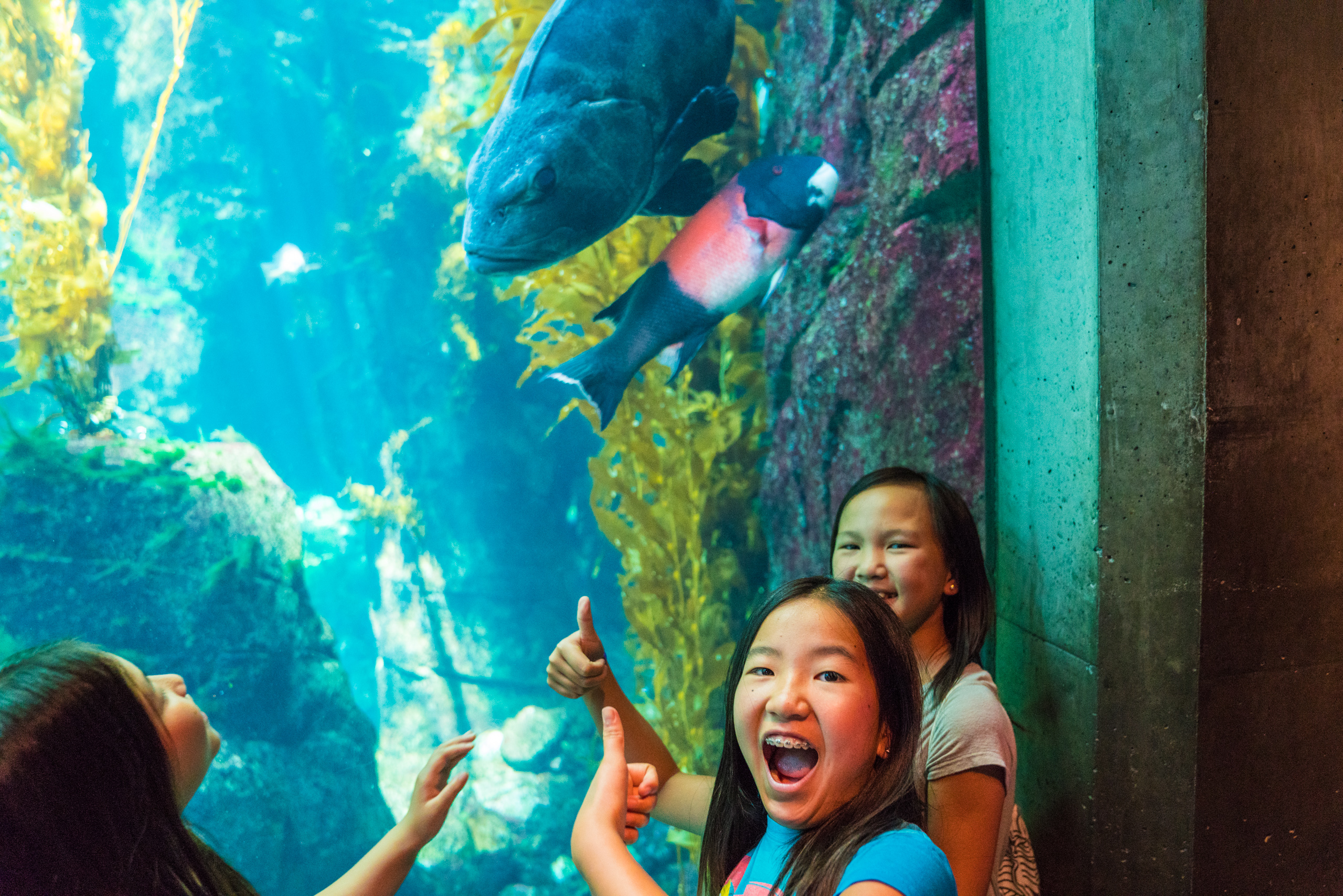 A Day At The Vancouver Aquarium